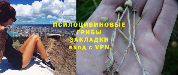 амф Алексин
